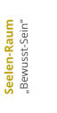 Seelen-Raum „Bewusst-Sein“